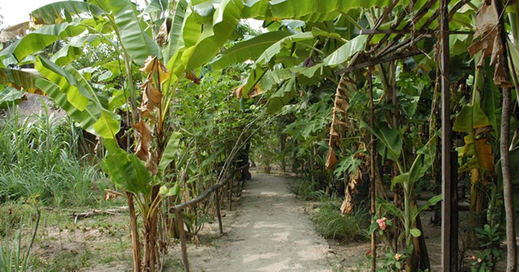 Samon Village Kampot Eksteriør bilde